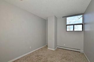 Photo 14: 233 30 Mchugh Court NE in Calgary: Mayland Heights Apartment for sale : MLS®# A2092709
