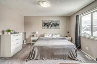 Photo 21: 93 Skyview Ranch Boulevard NE in Calgary: Skyview Ranch Detached for sale : MLS®# A1182298