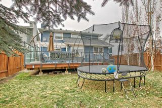 Photo 40: 35 Riverstone Crescent SE in Calgary: Riverbend Detached for sale : MLS®# A2100745