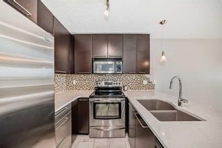 Photo 3: 352 35 Richard Court SW in Calgary: Lincoln Park Apartment for sale : MLS®# A2129185