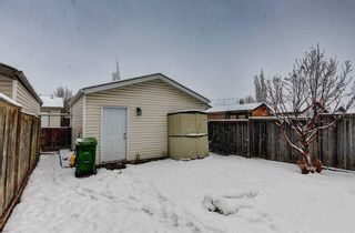 Photo 33: 93 Prestwick Rise SE in Calgary: McKenzie Towne Detached for sale : MLS®# A2123144