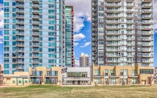Photo 19: 1601 215 13 Avenue in Calgary: Beltline Apartment for sale : MLS®# A2114537