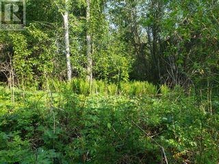 Photo 5: 73123 Range Road 112 in Faust: Vacant Land for sale : MLS®# A2040430