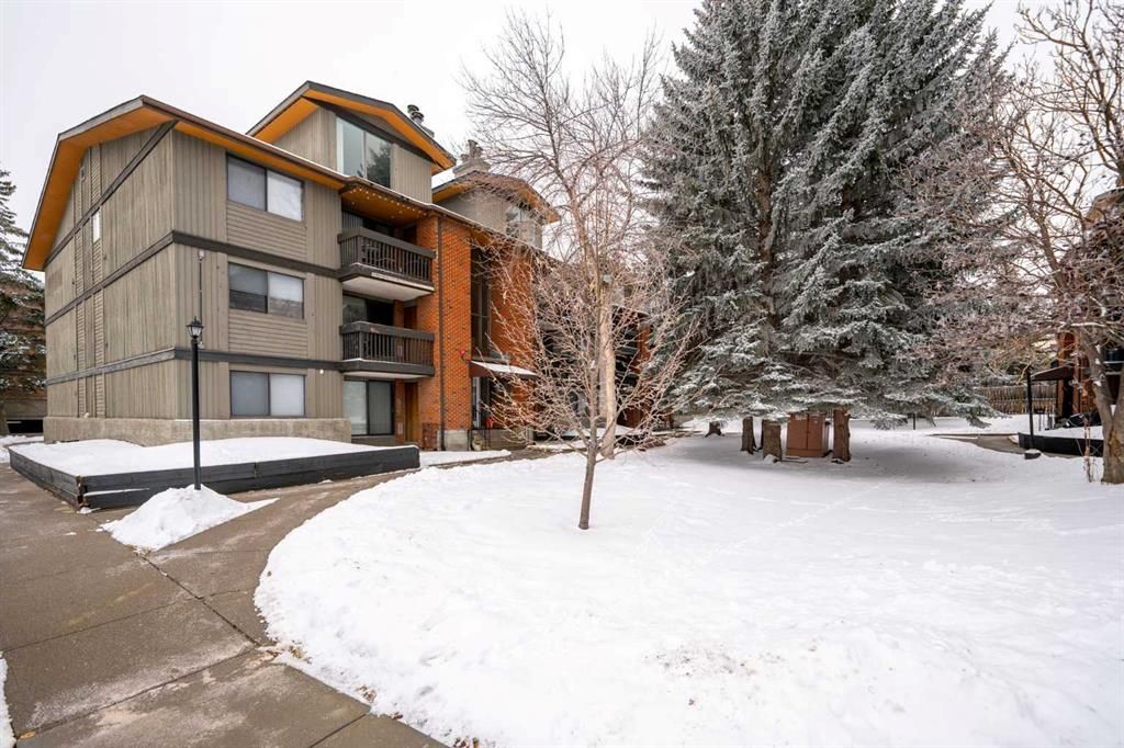 Main Photo: 203B 7301 4A Street SW in Calgary: Kingsland Apartment for sale : MLS®# A2106207