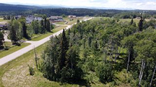 Photo 8: 162057 258 Street W: Rural Foothills County Residential Land for sale : MLS®# A2060550