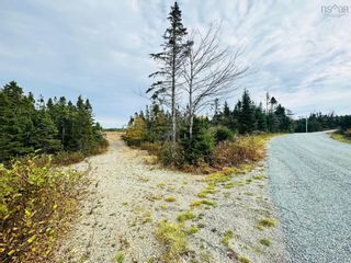 Photo 13: Lot 09-5 West Liscomb Point Road in West Liscomb: 303-Guysborough County Vacant Land for sale (Highland Region)  : MLS®# 202324035