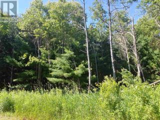 Photo 8: Acreage Birch Lane in Georgetown Royalty: Vacant Land for sale : MLS®# 202402578