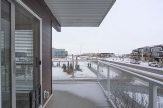 Photo 25: 216 4350 Seton Drive SE in Calgary: Seton Apartment for sale : MLS®# A2015316