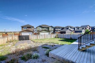 Photo 46: 51 Evanscrest Way NW in Calgary: Evanston Detached for sale : MLS®# A2014027