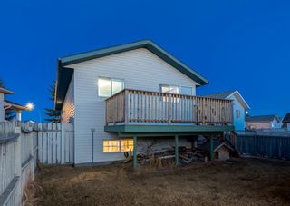 Photo 28: 203 APPLEBROOK Circle SE in Calgary: Applewood Park Detached for sale : MLS®# A1198432