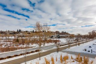 Photo 47: 202 88 Waterfront Mews SW in Calgary: Chinatown Apartment for sale : MLS®# A2103608