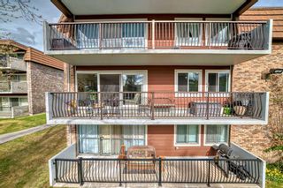 Photo 4: 88E 231 Heritage Drive SE in Calgary: Acadia Apartment for sale : MLS®# A2132710
