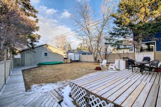 Photo 40: 4614 70 Street in Calgary: Bowness Detached for sale : MLS®# A1193841