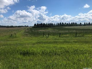 Photo 3: Golf Course Road Acreage in Meadow Lake: Lot/Land for sale (Meadow Lake Rm No.588)  : MLS®# SK888533