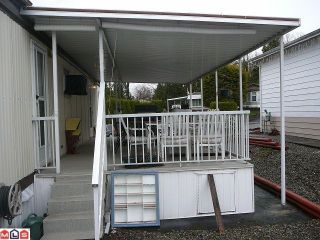 Photo 8: 25 2035 MARTENS Street in Abbotsford: Poplar Manufactured Home for sale in "Maplewood Estates" : MLS®# F1108799