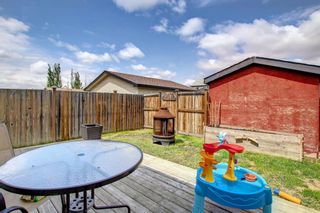 Photo 26: 92 Cranberry Lane SE in Calgary: Cranston Detached for sale : MLS®# A1230514
