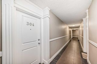 Photo 3: 304 501 57 Avenue SW in Calgary: Windsor Park Apartment for sale : MLS®# A2128054