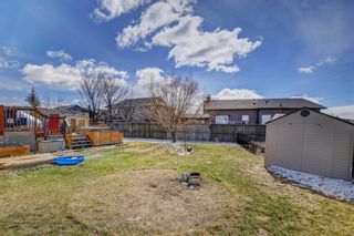 Photo 36: 234 Canoe Square SW: Airdrie Detached for sale : MLS®# A2123343
