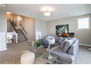 Photo 11: 117 CRANBROOK Crescent SE in Calgary: Cranston House for sale : MLS®# C4082675