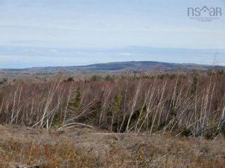 Photo 13: Old Graham Road in Salt Springs: 108-Rural Pictou County Vacant Land for sale (Northern Region)  : MLS®# 202226186