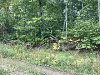 Photo 5: Lot Westchester Road in Westchester Valley: 102N-North Of Hwy 104 Vacant Land for sale (Northern Region)  : MLS®# 202017457