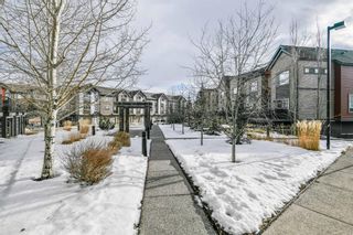 Photo 29: 221 Copperpond Row SE in Calgary: Copperfield Row/Townhouse for sale : MLS®# A1172920