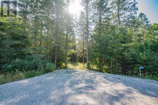 Photo 8: 1972 WESLEMKOON LAKE RD in Tudor & Cashel: Vacant Land for sale : MLS®# X7008970