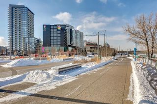 Photo 31: 213 535 8 Avenue SE in Calgary: Downtown East Village Apartment for sale : MLS®# A2028796