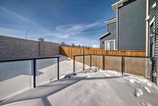 Photo 12: 178 Aquila Way NW in Calgary: C-473 Detached for sale : MLS®# A2117956