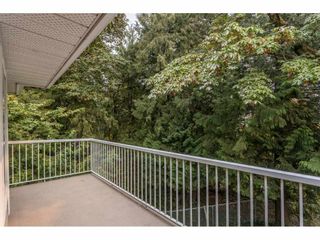 Photo 15: 12 1973 WINFIELD Drive in Abbotsford: Abbotsford East Townhouse for sale in "BELMONT RIDGE" : MLS®# R2498616
