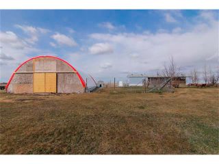 Photo 10: 241003 RR235: Rural Wheatland County House for sale : MLS®# C4005780