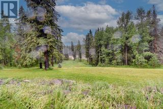 Photo 7: 64061 Township Road 380A in Rural Clearwater County: House for sale : MLS®# A2031801