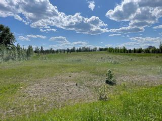 Photo 7: 3 Shannon Mews: Rural Foothills County Residential Land for sale : MLS®# A2053754