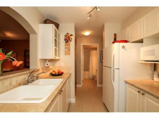 Photo 8: 104 3733 NORFOLK Street in Burnaby: Central BN Condo for sale in "WINCHELSEA" (Burnaby North)  : MLS®# V1088113