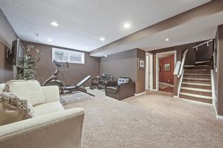 Photo 35: 155 Springbluff Heights SW in Calgary: Springbank Hill Detached for sale : MLS®# A2031782