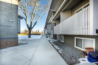 Photo 2: 23 8112 36 Avenue NW in Calgary: Bowness Row/Townhouse for sale : MLS®# A2034576