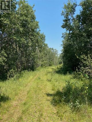 Photo 8: Range Road 23-1 in Rural Lacombe County: Vacant Land for sale : MLS®# A1133348