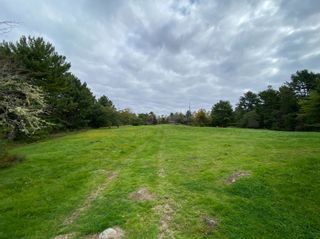 Photo 16: 927 Highway 203 in Lower Ohio: 407-Shelburne County Vacant Land for sale (South Shore)  : MLS®# 202319922