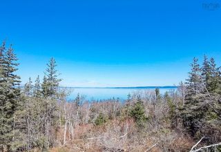 Photo 21: Lot 4 Old Baxter Mill Road in Baxters Harbour: Kings County Vacant Land for sale (Annapolis Valley)  : MLS®# 202307799