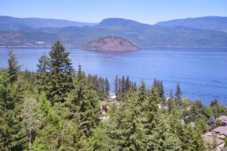 Photo 61: 2383 Mt. Tuam Crescent in : Blind Bay House for sale (South Shuswap)  : MLS®# 10164587