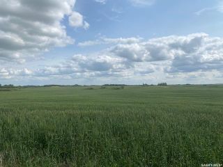 Photo 5: Murray Land in Mcleod: Farm for sale (Mcleod Rm No. 185)  : MLS®# SK948843