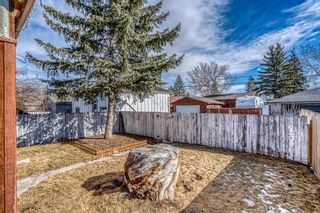 Photo 14: 6206 Beaver Dam Way NE in Calgary: Thorncliffe Semi Detached for sale : MLS®# A1195103