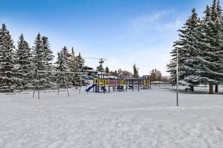 Photo 49: 206 43 Avenue SW in Calgary: Parkhill Full Duplex for sale : MLS®# A2091142