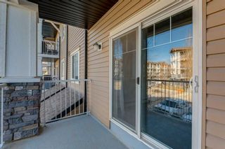 Photo 30: 1210 115 Prestwick Villas SE in Calgary: McKenzie Towne Apartment for sale : MLS®# A2125964