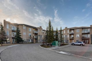 Photo 26: 101 2121 98 Avenue SW in Calgary: Palliser Apartment for sale : MLS®# A2010508