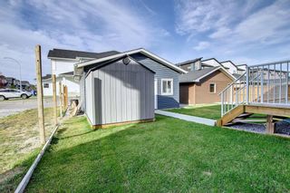 Photo 40: 508 Redstone Drive NE in Calgary: Redstone Detached for sale : MLS®# A2002884