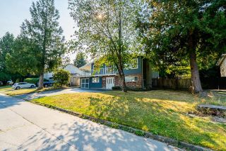 Photo 26: 22748 124 Avenue in Maple Ridge: East Central House for sale : MLS®# R2826172