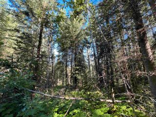 Photo 15: LOT 3 CAVE Road in Williams Lake: Horsefly Land for sale : MLS®# R2719437