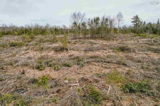 Photo 2: Lot A3 Aylesford Road in Morristown: Kings County Vacant Land for sale (Annapolis Valley)  : MLS®# 202207649