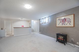 Photo 26: 24 Royal Birch Crescent NW in Calgary: Royal Oak Detached for sale : MLS®# A1173913